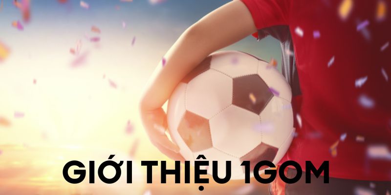 Giới thiệu 1gom